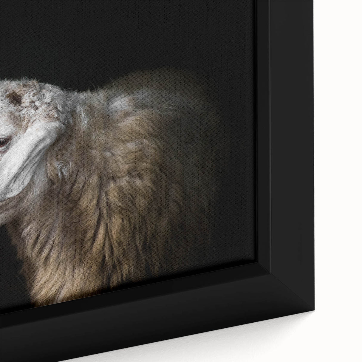 Close-up of a framed canvas wall art featuring a beautifully detailed sheep design, showcasing soft textures and earthy colors, perfect for animal lovers and home decor enthusiasts.