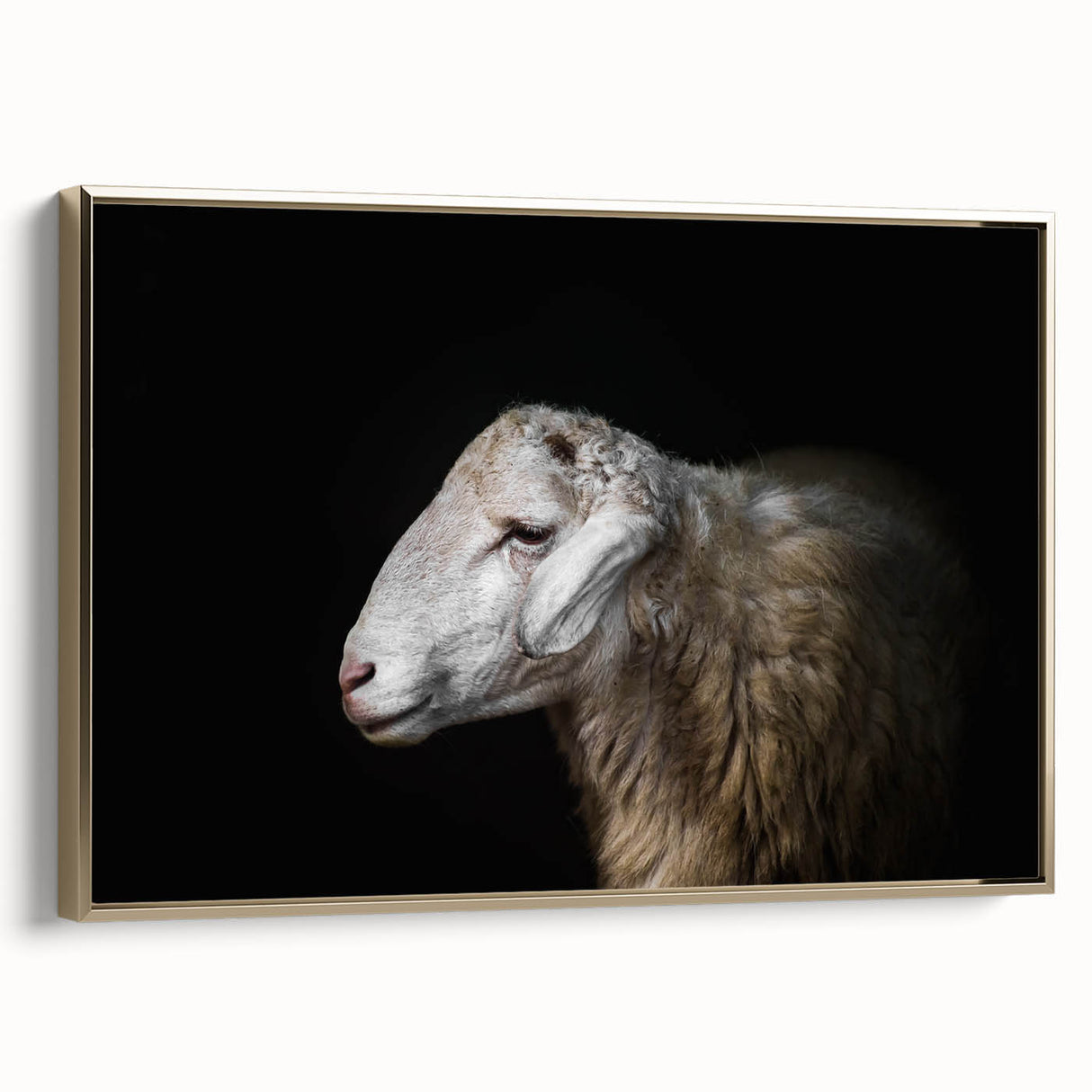 Framed canvas wall art featuring a detailed sheep design in a gold frame, showcasing intricate textures and vibrant colors, perfect for enhancing home decor.
