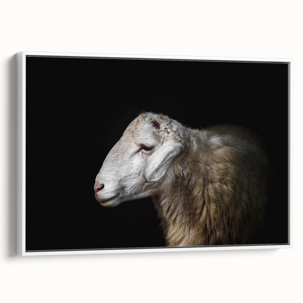Framed canvas wall art featuring a minimalist sheep design in a white frame, showcasing a side view against a neutral background, perfect for modern decor.