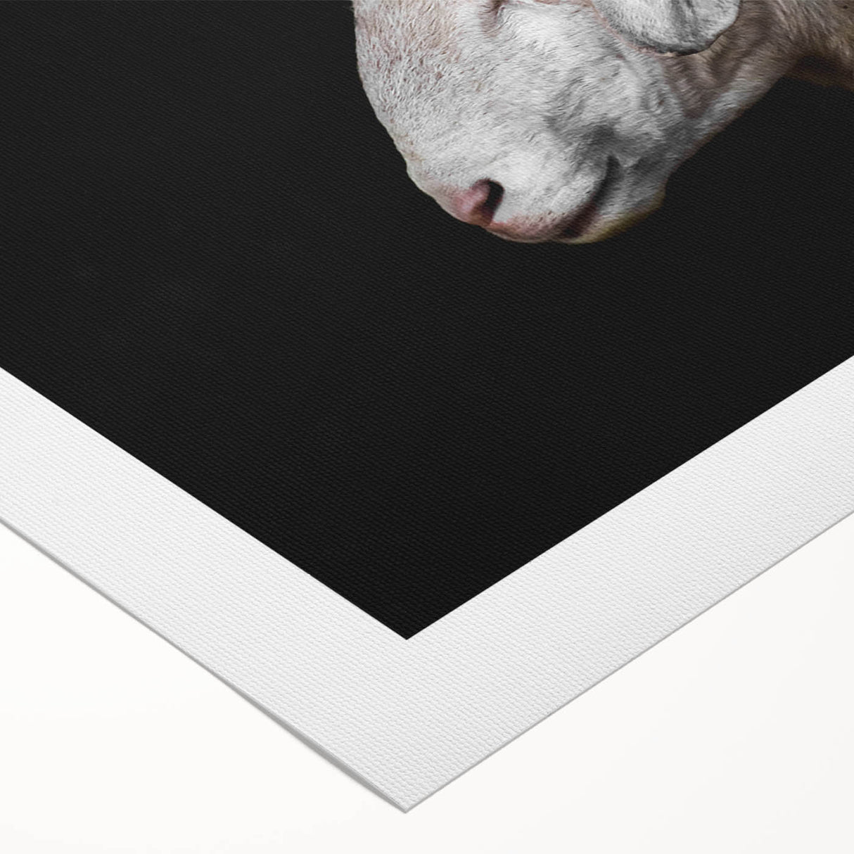 Rolled canvas art featuring a serene sheep design, showcasing soft pastel colors and intricate details, ideal for enhancing home decor with a rustic charm.