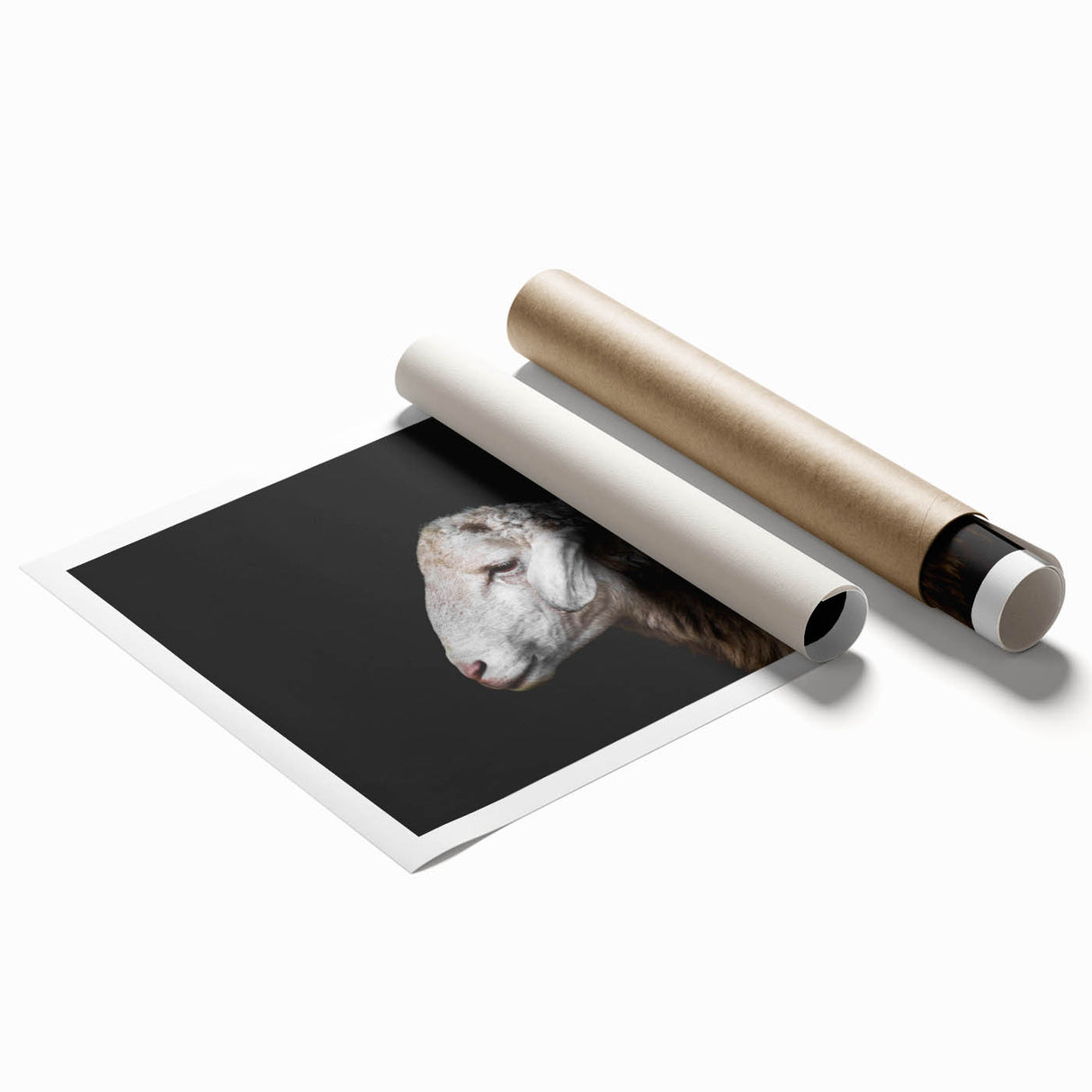 Rolled print of a whimsical sheep design showcasing vibrant colors and intricate patterns, perfect for animal lovers and home decor enthusiasts.