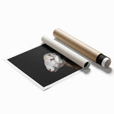 Rolled print of a whimsical sheep design showcasing vibrant colors and intricate patterns, perfect for animal lovers and home decor enthusiasts.