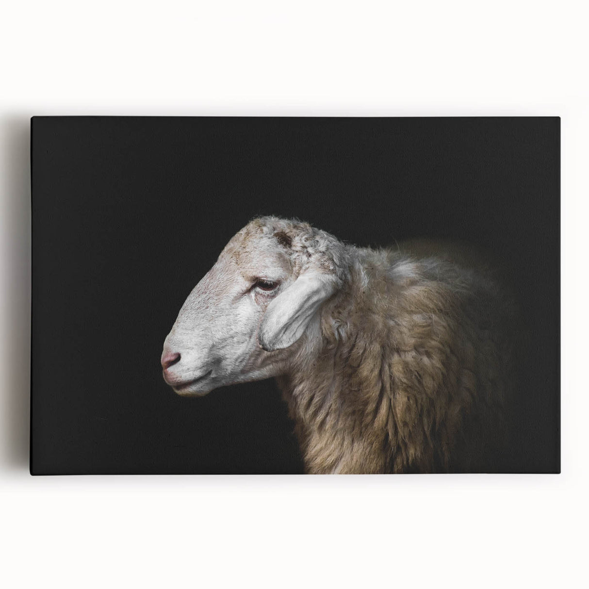 Stretched canvas artwork depicting a serene sheep design in a natural setting, showcasing soft colors and intricate details, perfect for enhancing home decor.