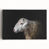 Stretched canvas artwork depicting a serene sheep design in a natural setting, showcasing soft colors and intricate details, perfect for enhancing home decor.