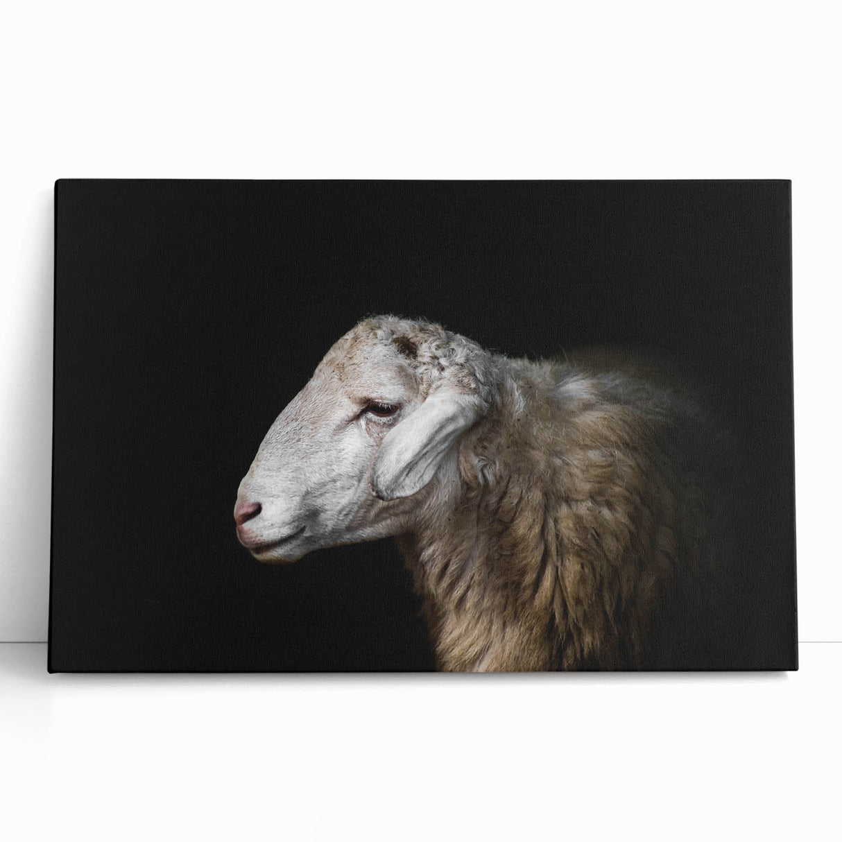 Stretched canvas wall art featuring a serene sheep design in a natural landscape, showcasing soft colors and intricate details, perfect for home decor or animal lovers.