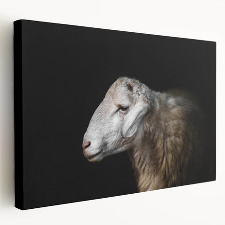 Stretched canvas wall art featuring a serene sheep design, showcasing soft colors and detailed textures, perfect for adding a rustic touch to home decor.