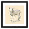 Framed black wall art featuring a sheep design from the "Animals - A Wild Life" collection, showcasing intricate details and textures, ideal for animal lovers and home decor enthusiasts.