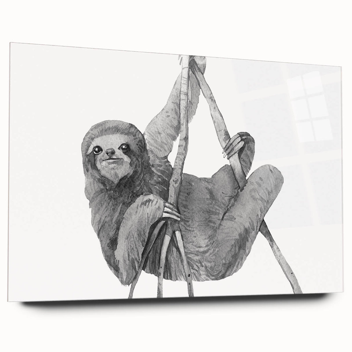 Acrylic glass wall art featuring a whimsical sloth design, showcasing vibrant colors and intricate details, perfect for adding a playful touch to any room.