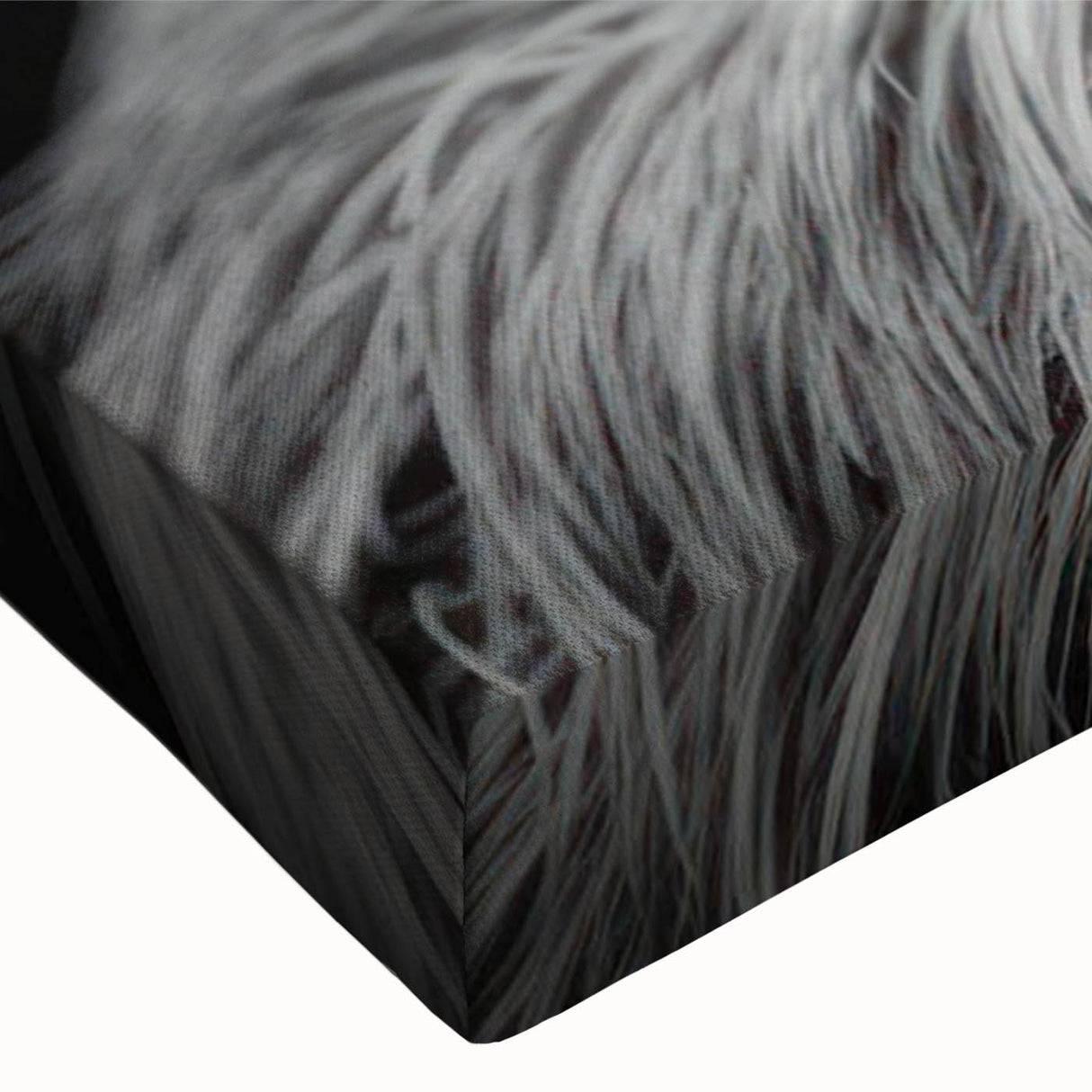 Close-up of a stretched canvas featuring a vibrant sloth design from the "Animals: A Wild Life" collection, showcasing detailed textures and colors perfect for nature-themed decor.