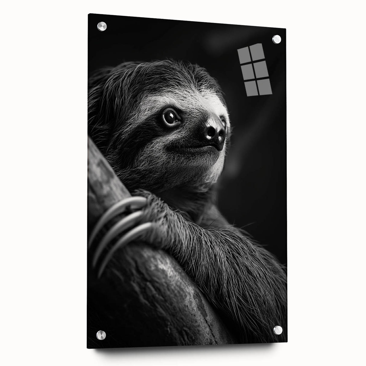 Acrylic glass wall art featuring a sloth design from the Animals A Wild Life collection, displayed from the side with metal pins for hanging, showcasing vibrant colors and detailed textures.