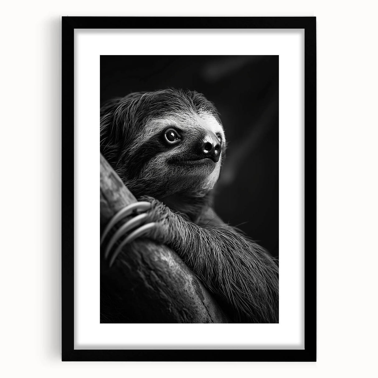 Framed wall art featuring a sloth design in vibrant colors, showcasing intricate details against a black mat, perfect for animal-themed decor. Ideal for nature enthusiasts and home decor lovers.