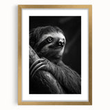 Framed wall art featuring a sloth design with a gold mat, showcasing a playful sloth hanging from a branch, perfect for animal lovers and home decor enthusiasts.