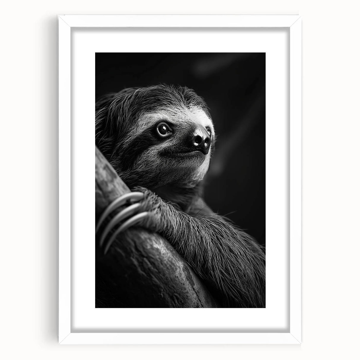 Sloth-themed wall art design in a white frame with a mat, showcasing vibrant colors and intricate details, perfect for animal lovers and home décor.