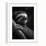 Sloth-themed wall art design in a white frame with a mat, showcasing vibrant colors and intricate details, perfect for animal lovers and home décor.