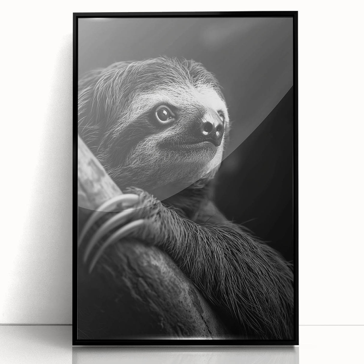 Framed wall art featuring a sloth design from the "Animals: A Wild Life" collection, showcasing a black frame and acrylic front for a sleek, modern look. Ideal for adding a whimsical touch to home decor.