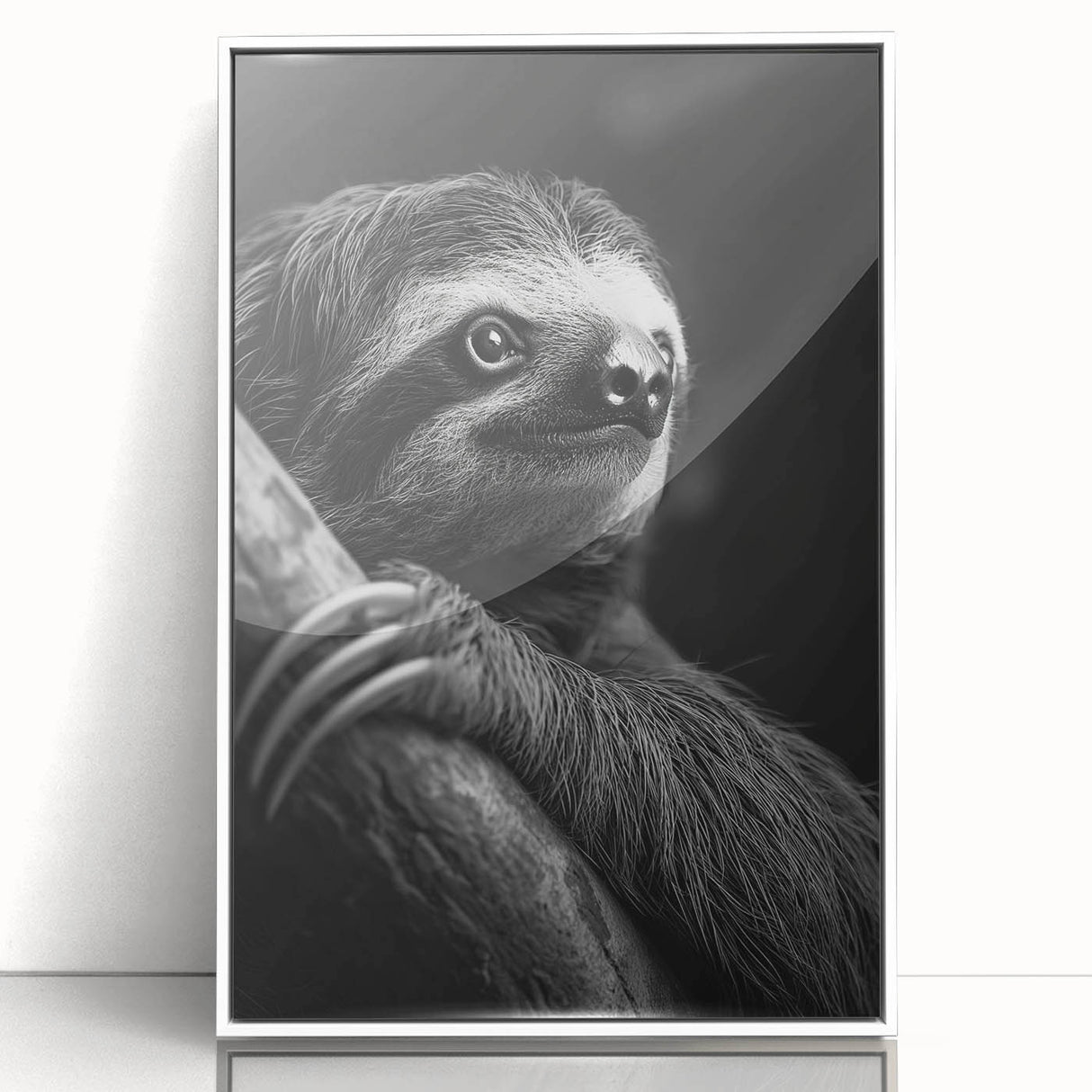 Framed wall art featuring a sloth design from the "Animals of the Wild" collection, showcasing vibrant colors and a sleek white frame, perfect for nature lovers.