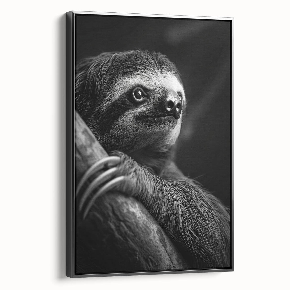 Framed wall art featuring a beautifully designed sloth in a natural habitat, showcasing vibrant colors and intricate details, perfect for animal lovers and home decor enthusiasts.