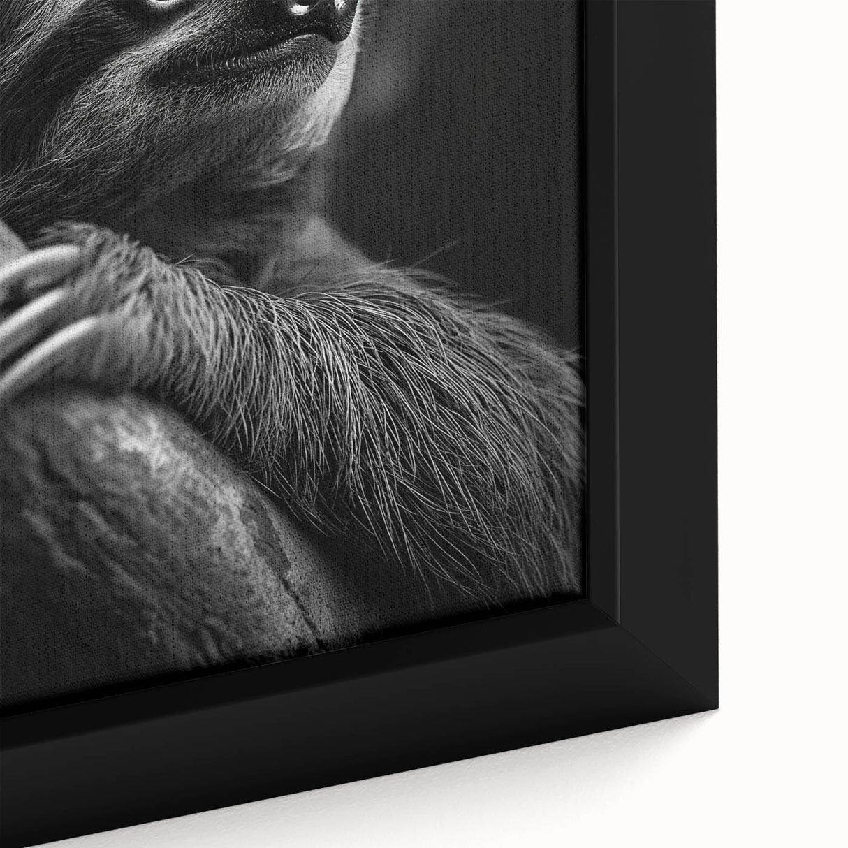 Close-up of a framed canvas wall art featuring a sloth in a lush tropical setting, showcasing vibrant colors and intricate details, perfect for wildlife enthusiasts.