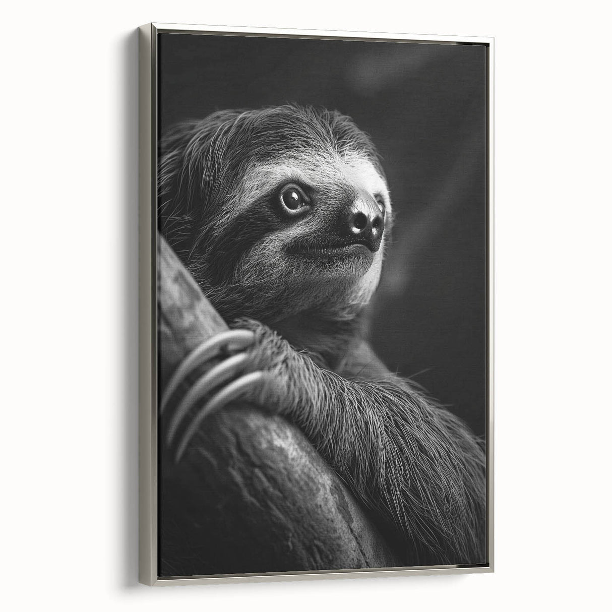 Framed canvas wall art featuring a detailed sloth design from the "Animals: A Wild Life" collection, with a silver frame, showcasing intricate textures and colors. Perfect for nature-themed decor.