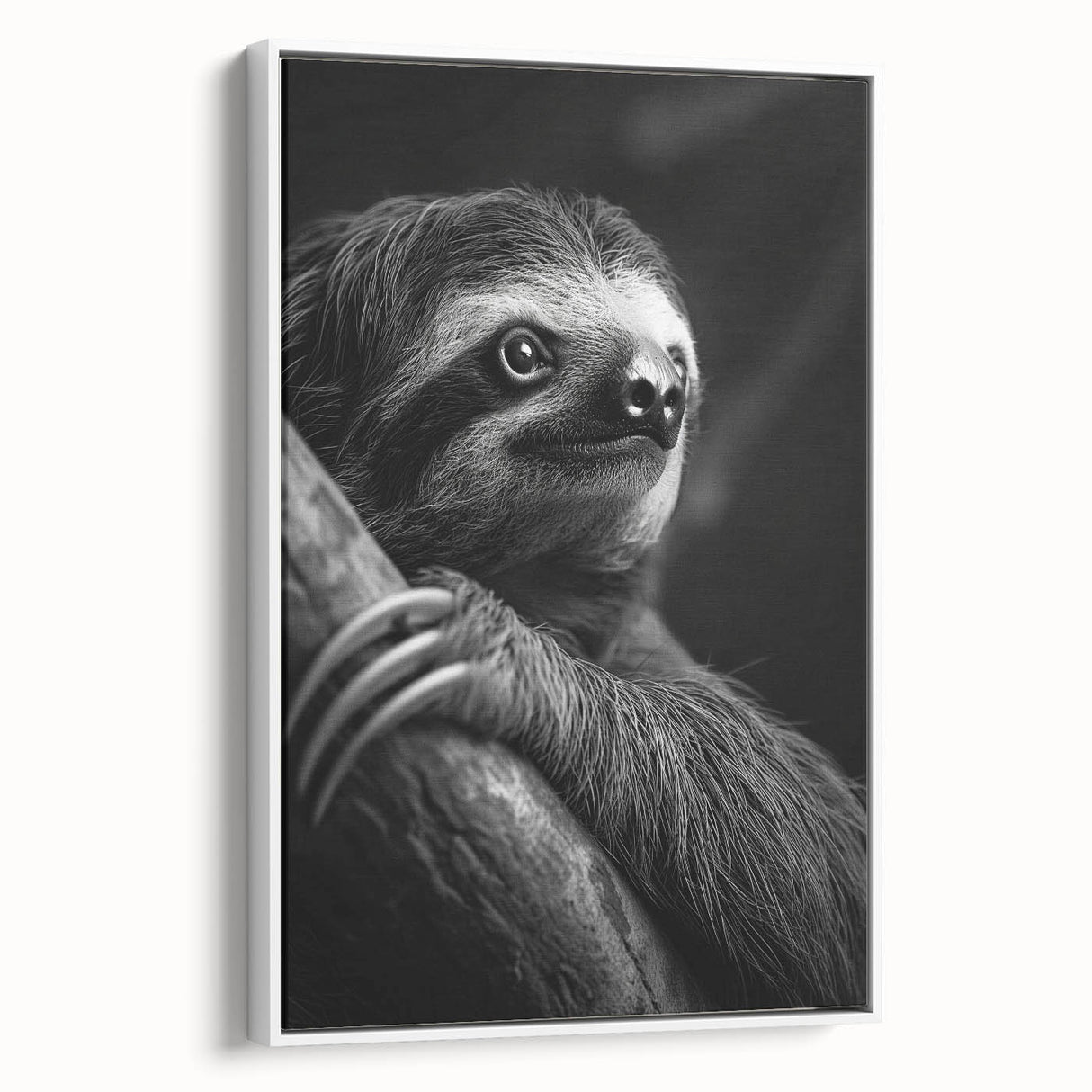 Framed canvas wall art featuring a sloth design in a whimsical style, set against a white background, ideal for animal lovers and modern home decor.