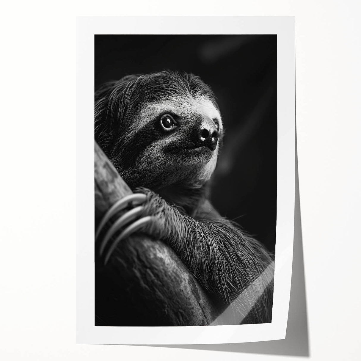 Sloth-themed wall art design showcasing a colorful, whimsical sloth hanging from a vibrant tree branch, perfect for adding a playful touch to home decor.