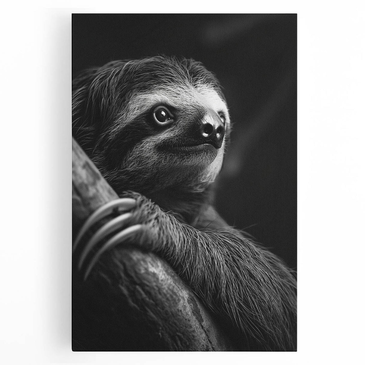 Sloth wall art design on stretched canvas, showcasing vibrant colors and intricate details, perfect for animal lovers and home decor enthusiasts.