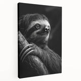 Sloth-themed wall art on stretched canvas showcasing a vivid design with intricate details, perfect for animal lovers and home decor enthusiasts.