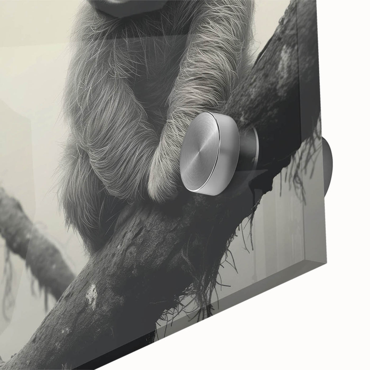 Close-up of a vibrant sloth wall art design on acrylic glass, showcasing intricate details and colors, ideal for animal lovers and home decor enthusiasts.