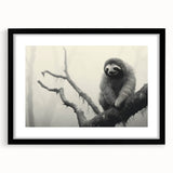 Framed wall art featuring a sloth design from the "Animals A Wild Life" collection, showcasing vibrant colors and a sleek black frame, perfect for nature lovers.