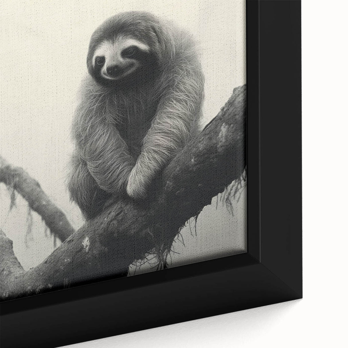 Close-up of a framed canvas wall art featuring a colorful sloth design, showcasing intricate details and vibrant colors, perfect for animal lovers and home decor enthusiasts.