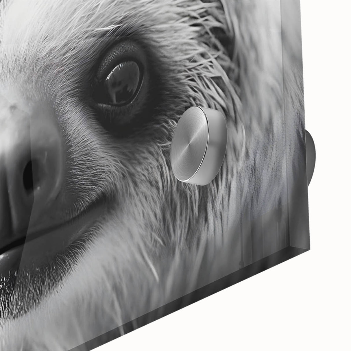 Close-up of a vibrant sloth wall art design featuring intricate details, set against a colorful background, perfect for nature lovers and home decor enthusiasts. This acrylic glass print adds a playful touch to any room, showcasing the beauty of wildlife.