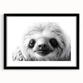 Framed wall art featuring a sloth design from the "Animals: A Wild Life" collection, showcasing a black frame and mat, ideal for nature-themed decor.