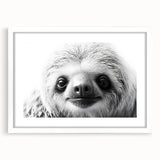 Front view of a framed wall art featuring a sloth design from the "Animals A Wild Life" collection, set in a white frame with a mat, ideal for nature-themed decor.