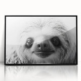 Framed acrylic wall art showcasing a sloth design in a vibrant, colorful style. The black frame enhances the artwork's playful nature, perfect for animal lovers' decor.