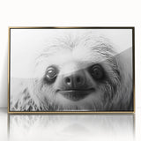 Framed acrylic wall art showcasing a sloth design from the "Animals: A Wild Life" collection, featuring vibrant colors and a gold frame, perfect for nature enthusiasts.