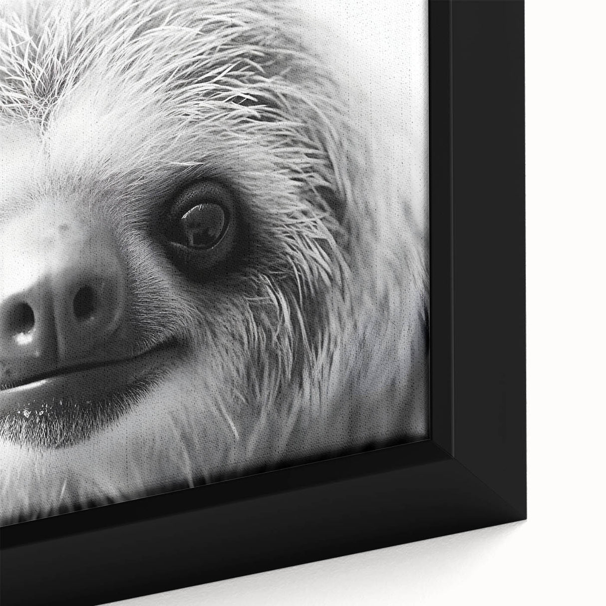 Close-up of a framed canvas wall art featuring a sloth design, showcasing vibrant colors and intricate details, perfect for wildlife enthusiasts and home decor.