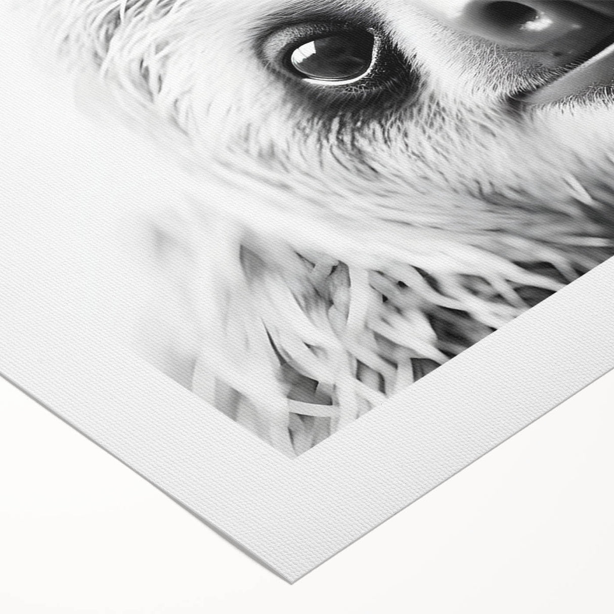 Whimsical sloth wall art design on rolled canvas, showcasing vibrant colors and playful details, perfect for adding a touch of nature-inspired decor to any room.
