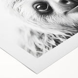 Whimsical sloth wall art design on rolled canvas, showcasing vibrant colors and playful details, perfect for adding a touch of nature-inspired decor to any room.
