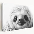 Stretched canvas wall art featuring a sloth design, showcasing vibrant colors and intricate details, perfect for wildlife enthusiasts and home decor.