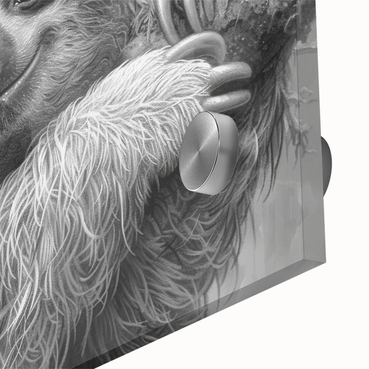 Close-up of a sloth design wall art piece, showcasing vibrant colors and intricate details on acrylic glass, perfect for wildlife enthusiasts' home decor.