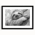 Framed wall art collection featuring a sloth design in a sleek black frame with a mat, bringing a touch of wildlife charm to home decor. Ideal for nature lovers.