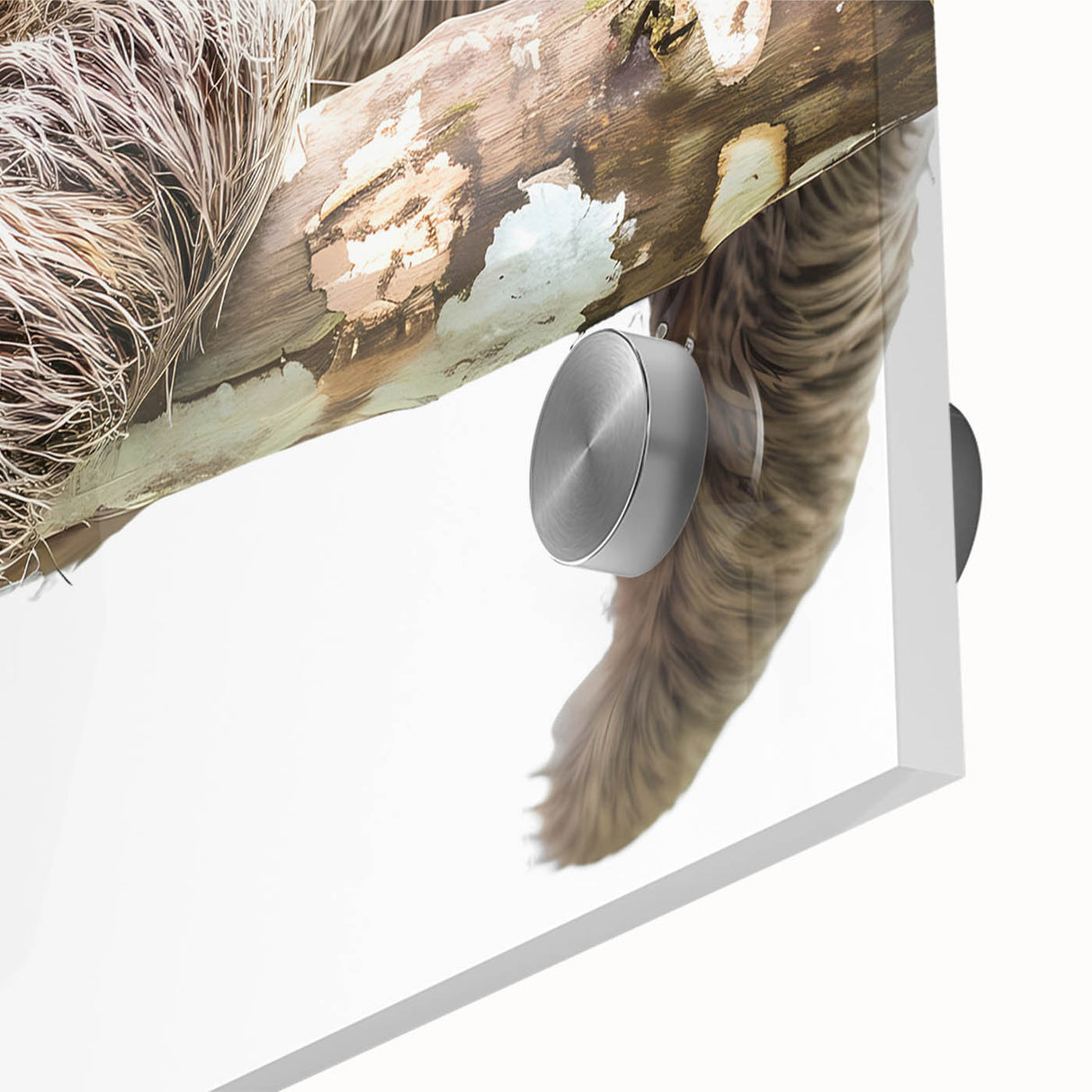 Close-up of a sloth-themed wall art piece, showcasing vibrant colors and intricate details on acrylic glass, perfect for animal lovers' home decor.
