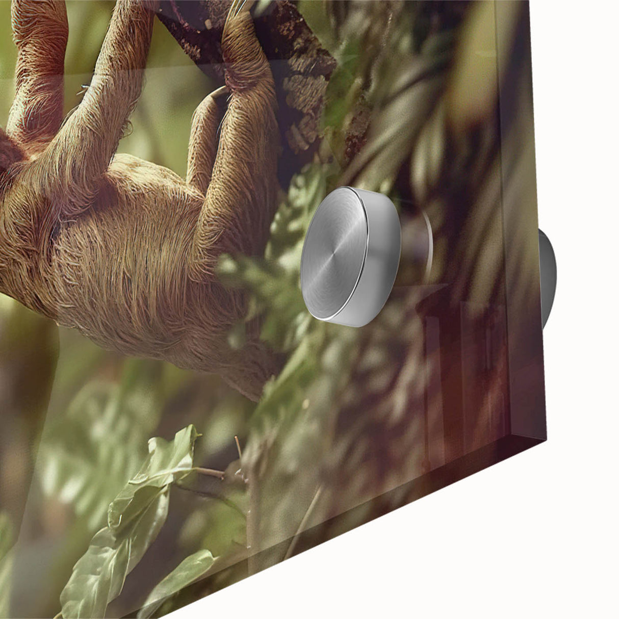 Close-up of a vibrant sloth design wall art piece, showcasing detailed textures and colors on acrylic glass, perfect for animal lovers and home decor enthusiasts.