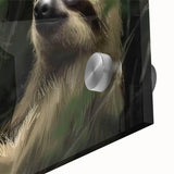 Close-up of a vibrant sloth wall art design featuring intricate details and colors, printed on acrylic glass, showcasing wildlife beauty for home decor.