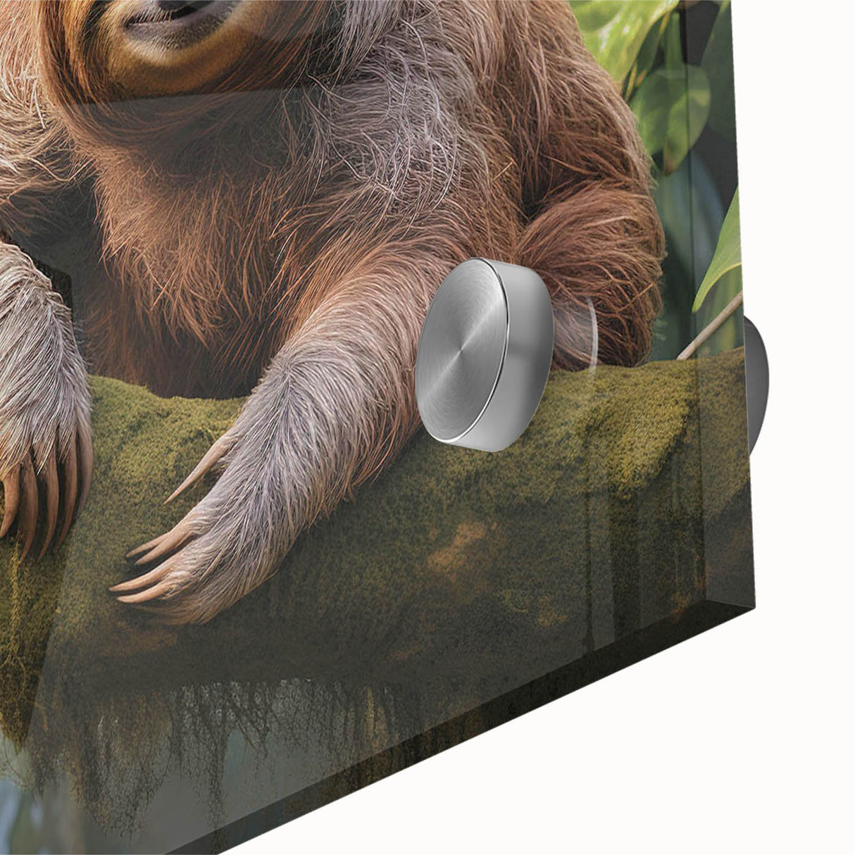Close-up of a sloth design wall art piece featuring vibrant colors on acrylic glass, showcasing intricate details and textures, ideal for animal lovers' decor.