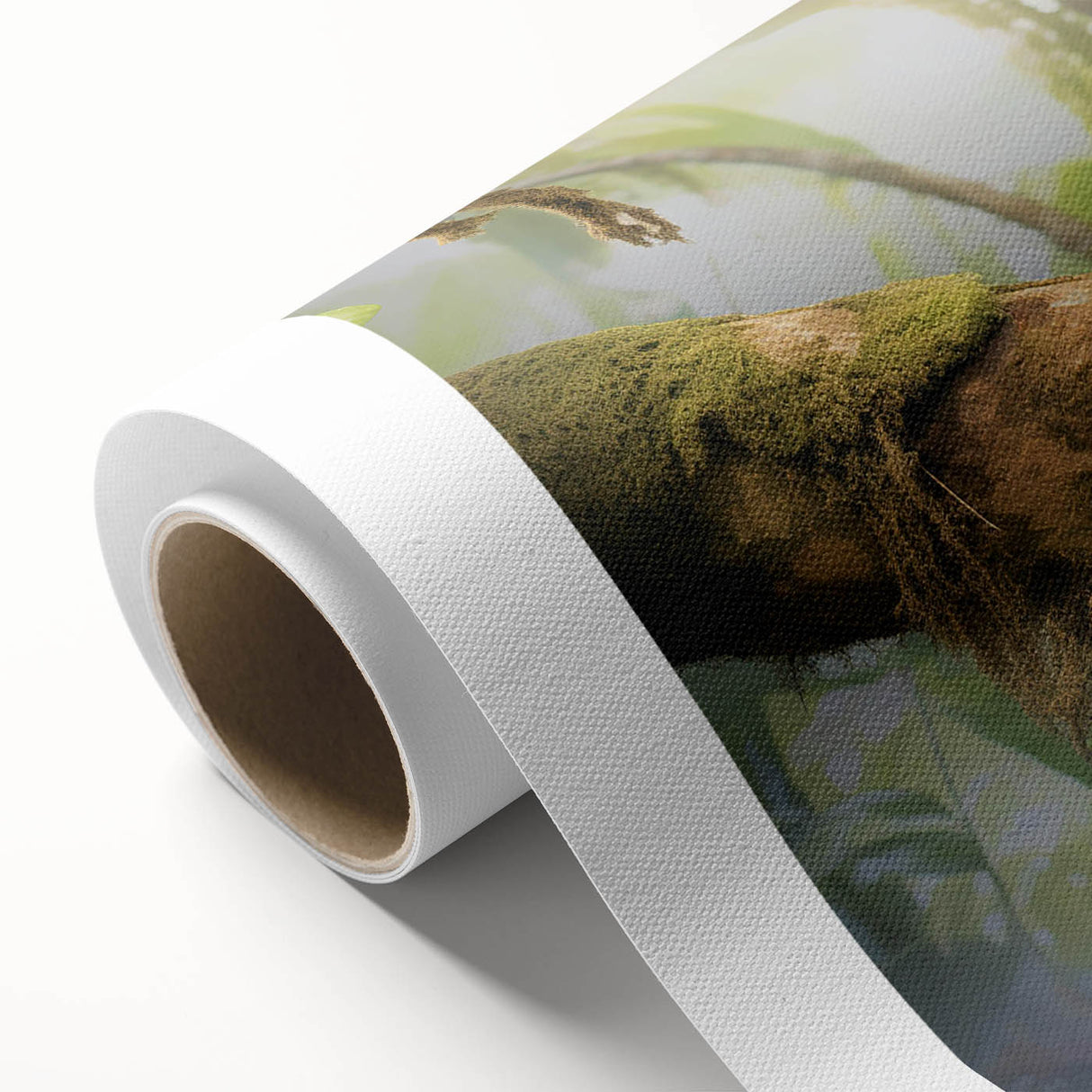Adorable sloth illustration on rolled canvas showcasing vibrant colors and intricate details, ideal for wildlife-themed decor. Perfect for animal lovers and art enthusiasts.