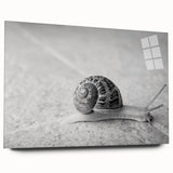 Acrylic wall art piece featuring a colorful snail design, displayed in a side view, showcasing intricate patterns and vibrant hues, ideal for nature-inspired decor.