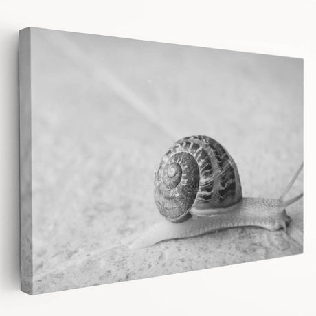 Colorful wall art featuring a close-up design of a whimsical snail on stretched canvas, showcasing vibrant hues and intricate details, ideal for nature lovers' decor.