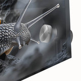Close-up of a vibrant acrylic wall art design featuring a whimsical snail against a colorful, nature-inspired background, perfect for animal lovers' decor.
