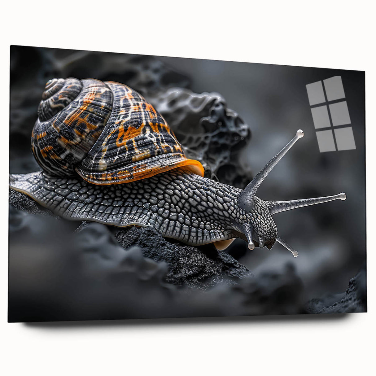 Side view of a colorful acrylic glass wall art piece featuring a whimsical snail design from the "Animals - A Wild Life" collection, ideal for nature-themed decor.